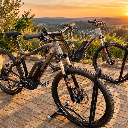 Davinci - Sauna, Kamin, Garten, E-bikes * Olpe bei Meschede